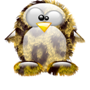 Penguin pingouin pinguino 760